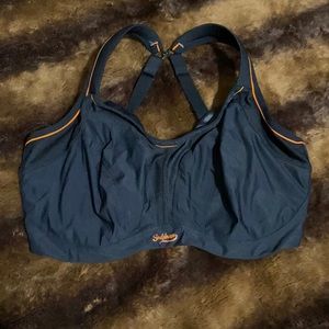 Scupltress 38F NWOT